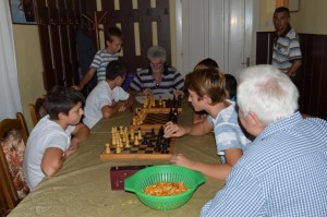 Šahovski turnir povodom proslave dana sela; Lipar 29.08.2015. god.